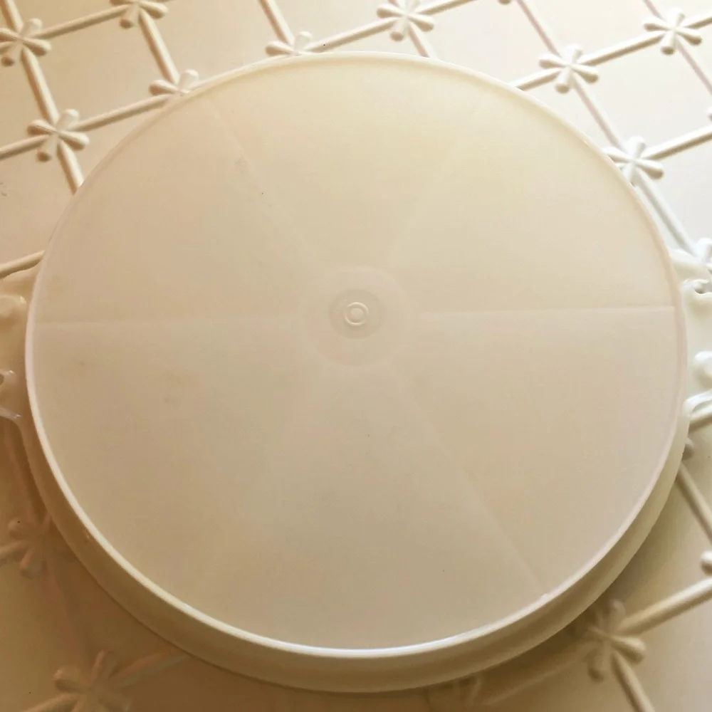 Vintage Tupperware Divided Container - Picture 2 of 3